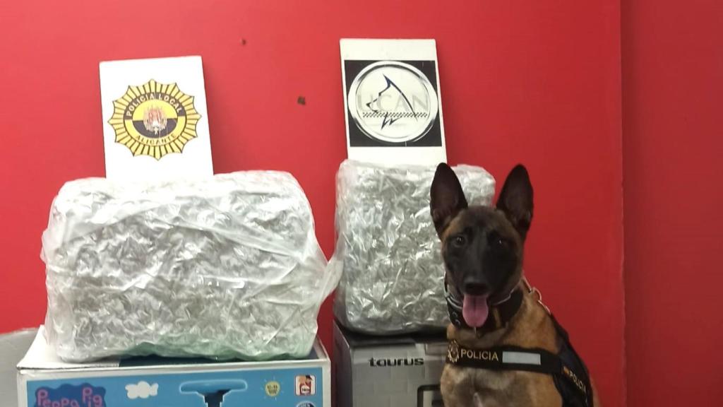 La perra Kata, junto a la droga que ha encontrado.