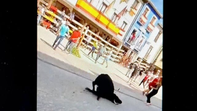 Denuncian el sufrimiento atroz de una vaca en un encierro en Tendilla (Guadalajara)