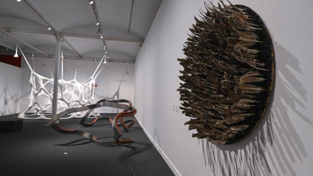 Vista de la exposición 'Arte y naturaleza. Un siglo de biomorfismo' en CaixaForum Barcelona