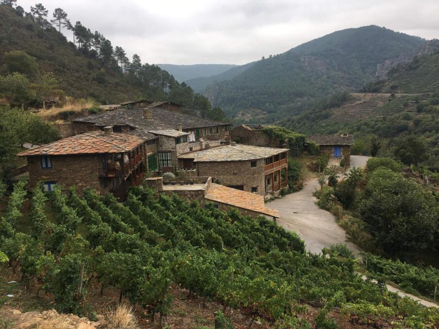 Bodega Castrelo das Pedras en Ribeiro