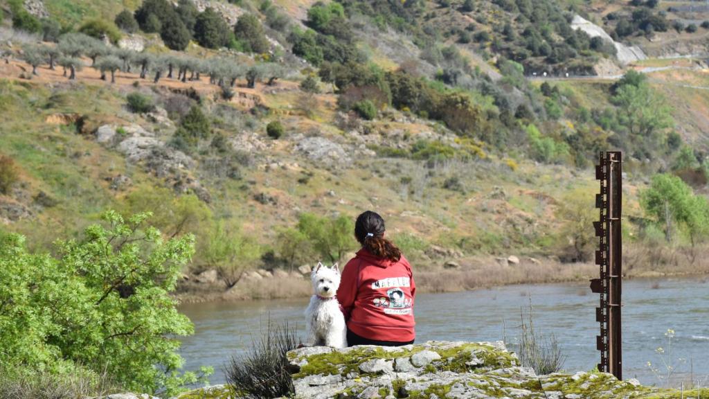 Paraje de Ambasaguas en Villarino de los Aires