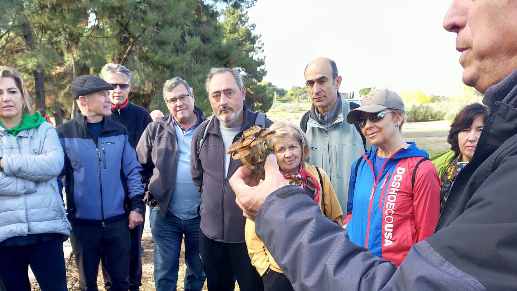 Imagen de una de las acciones de las Jornadas Micológicas del año pasado