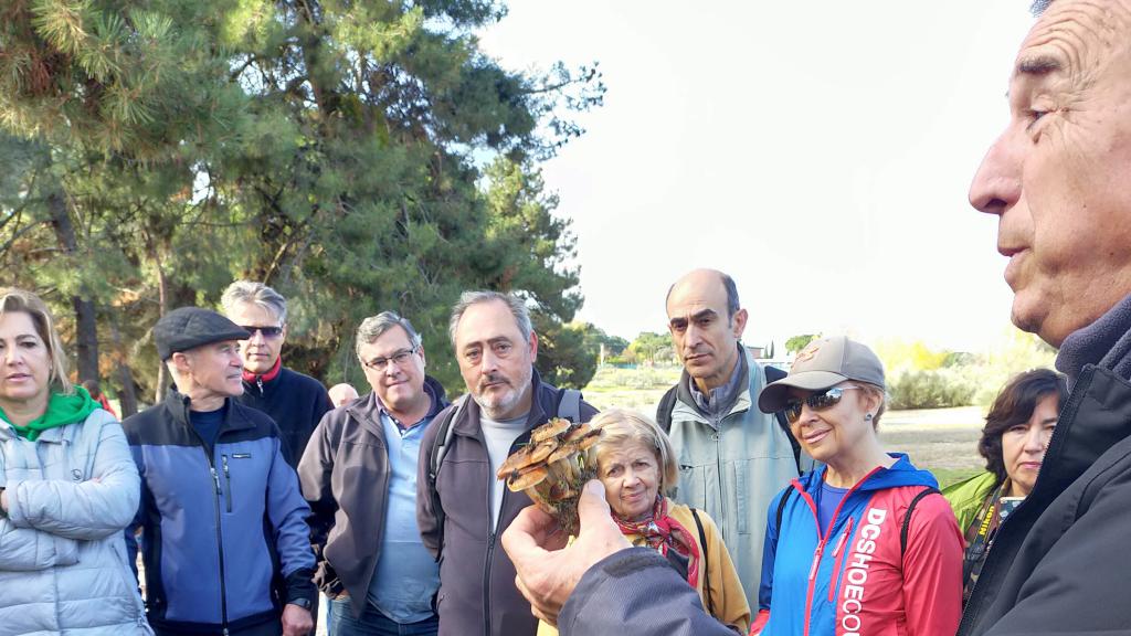 Imagen de una de las acciones de las Jornadas Micológicas del año pasado
