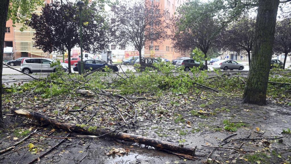 Las consecuencias de la borrasca Ciarán a su paso por Burgos