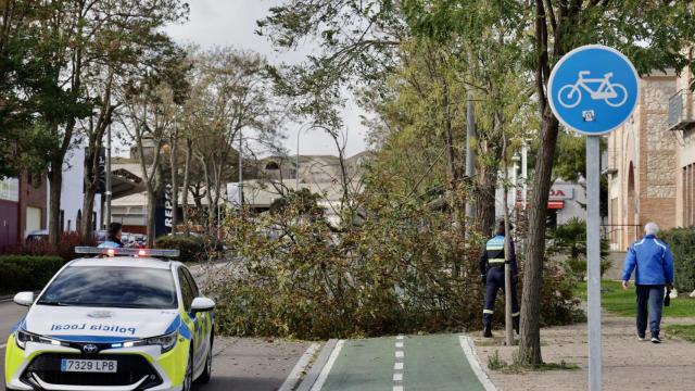Árboles y ramas caídas por el fuerte viento en Salamanca