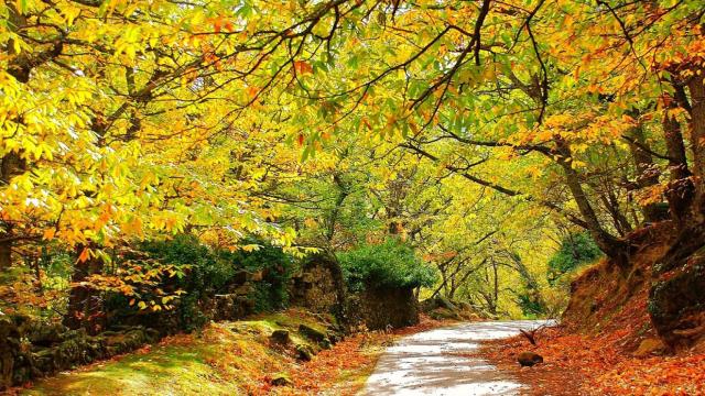 Conoce el impresionante lugar para una ruta otoñal en Madrid: está en el paisaje más pintoresco de la capital.