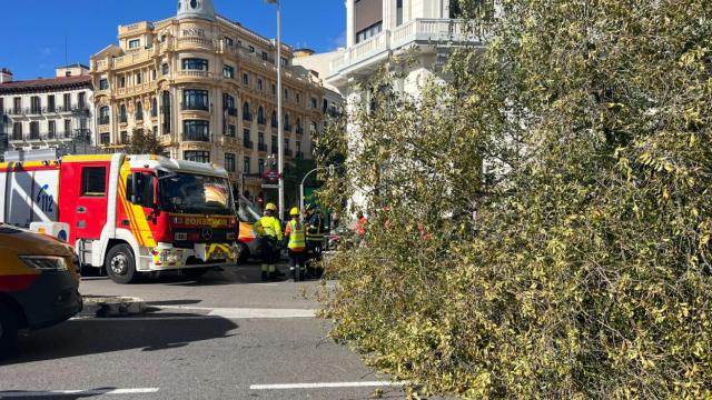 Una imagen de la calle Almagro.