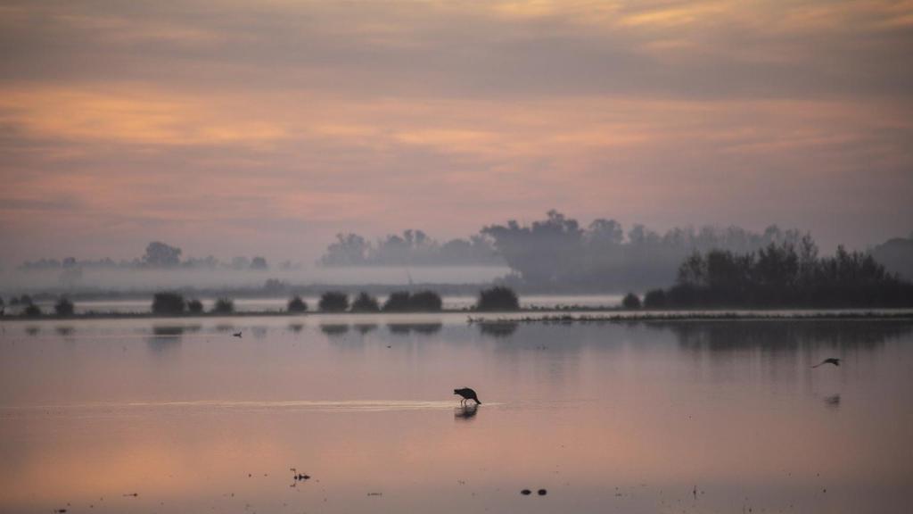 Parque Nacional de Doñana.