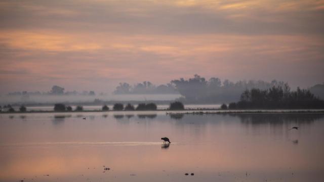 Parque Nacional de Doñana.