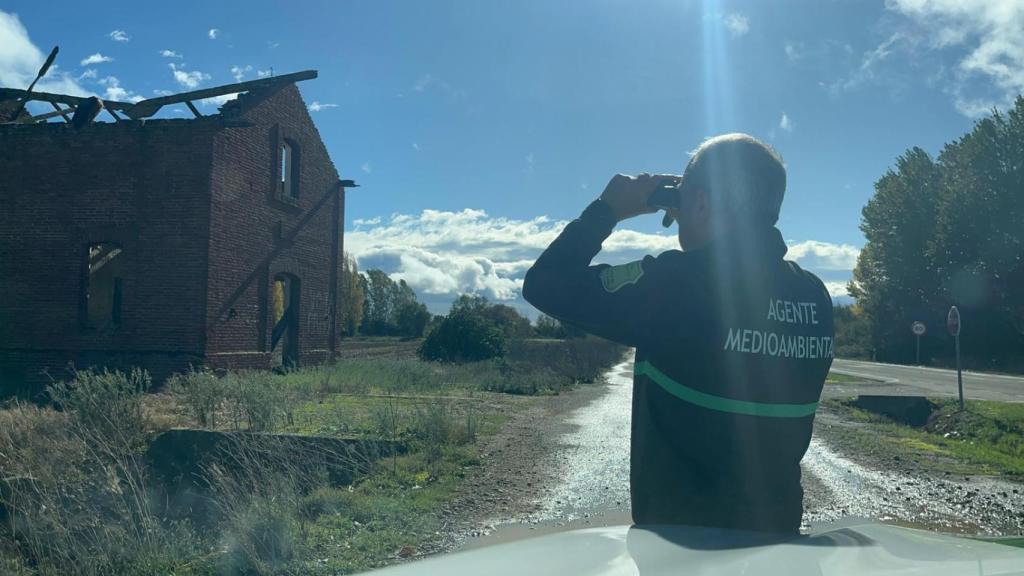 Un agente medioambiental vigila al buitre.