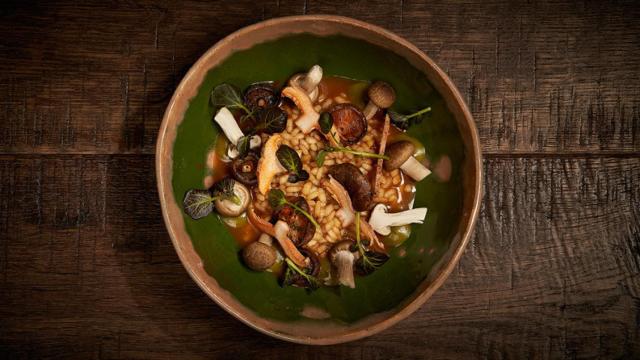 En esta época del año, las setas son los alimentos principales de El Invernadero.