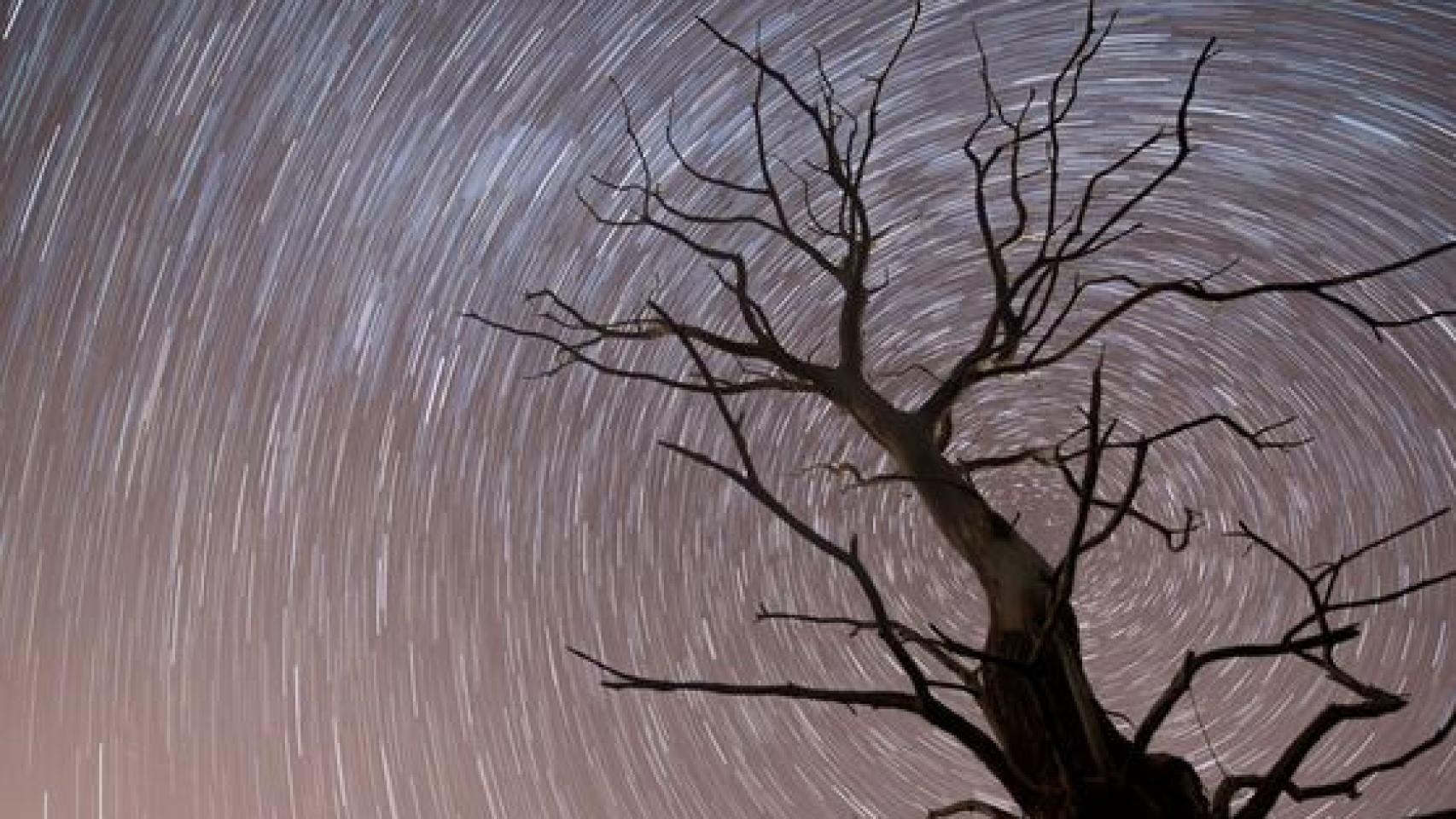 Imagen de una lluvia de estrellas en 2017