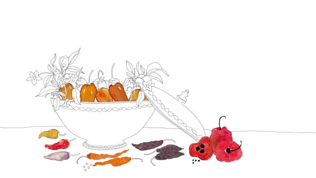 La guía definitiva para entender el picante: universo de ajís, chiles y guindillas de Anilú Cigüeñas