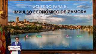 El presidente de Castilla y León, Alfonso Fernández Mañueco, durante un acto de impulso a la provincia de Zamora.