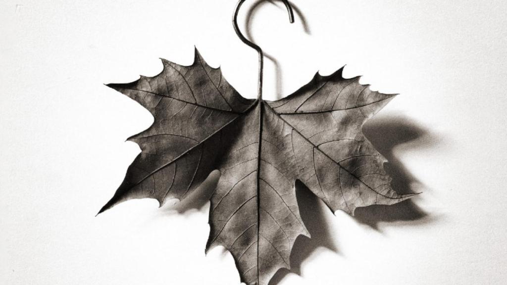 El cartel promocional del festival de otoño.