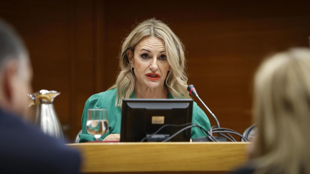 La consellera de Innovación, Industria, Comercio y Turismo, Nuria Montes, este miércoles en las Cortes Valencianas. EE