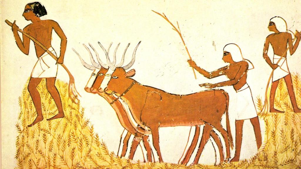 Trilla del trigo en Egipto