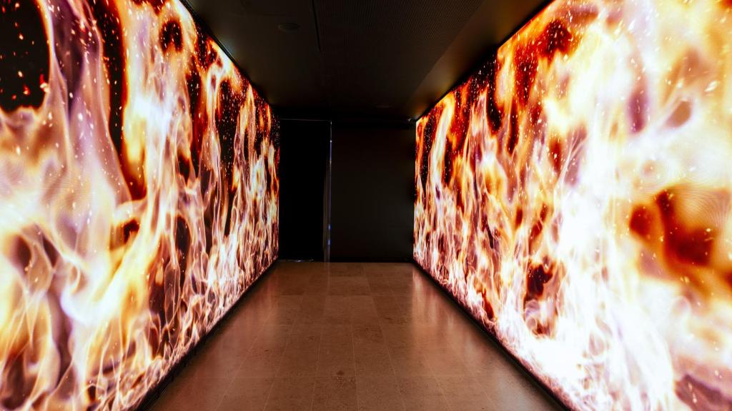 El 'site-specific' de Mat Collishaw. Foto:  Centro de Arte Hortensia Herrero / Adolfo Benetó