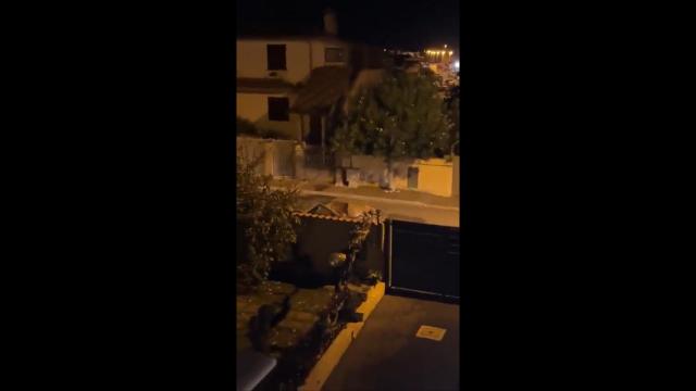 Imagen del León grabado por una vecina