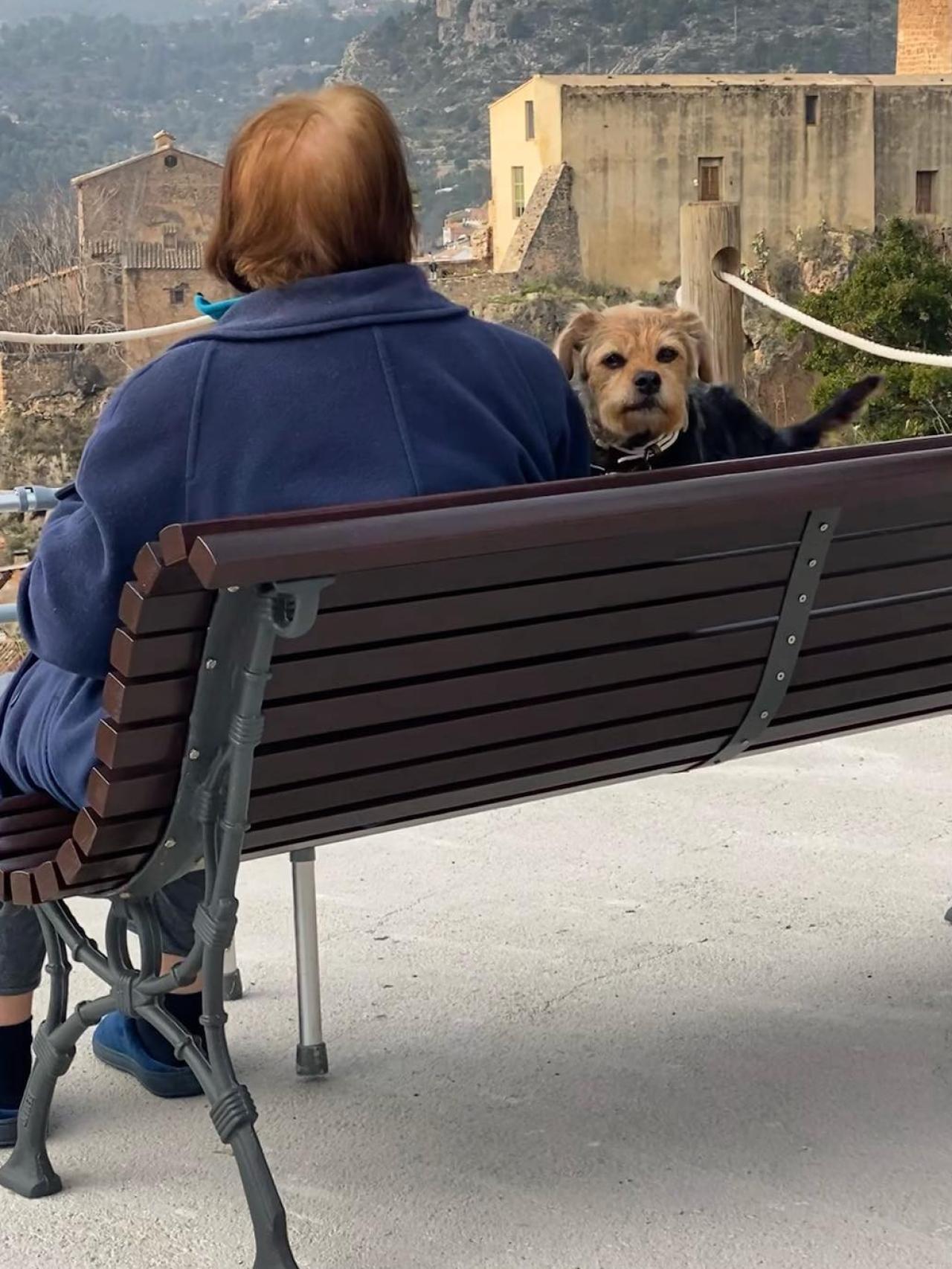 Clara Hernández, madre de Máximo, junto a la mascota del escritor, en Buñol.