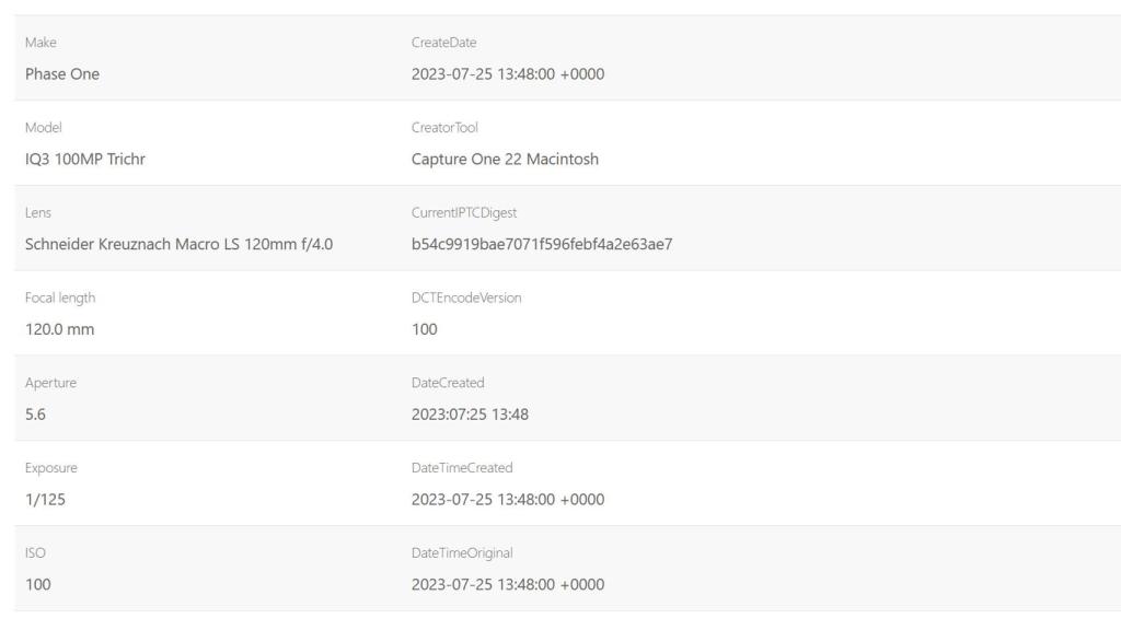 Datos EXIF sacados de Jimpl