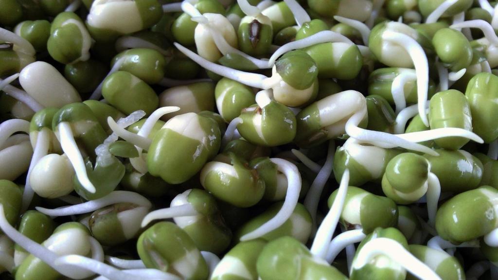 Microverduras.