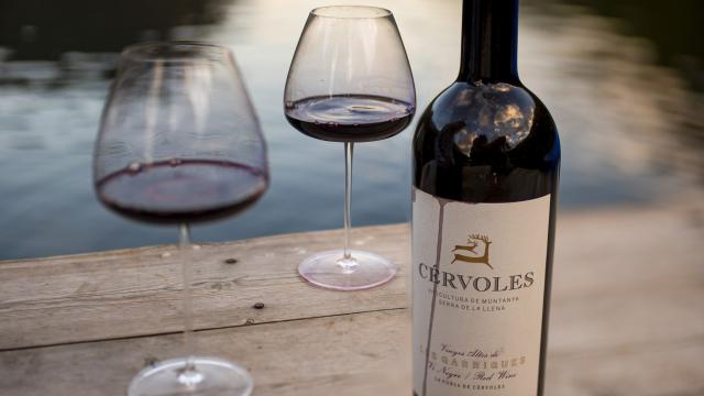 El vino de montaña que se convirtió en icono