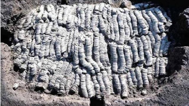 Tesoro oculto de Maebashi