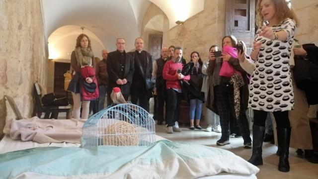 Museo Sin Hogar, ubicado en el Seminario-Casa de la Iglesia