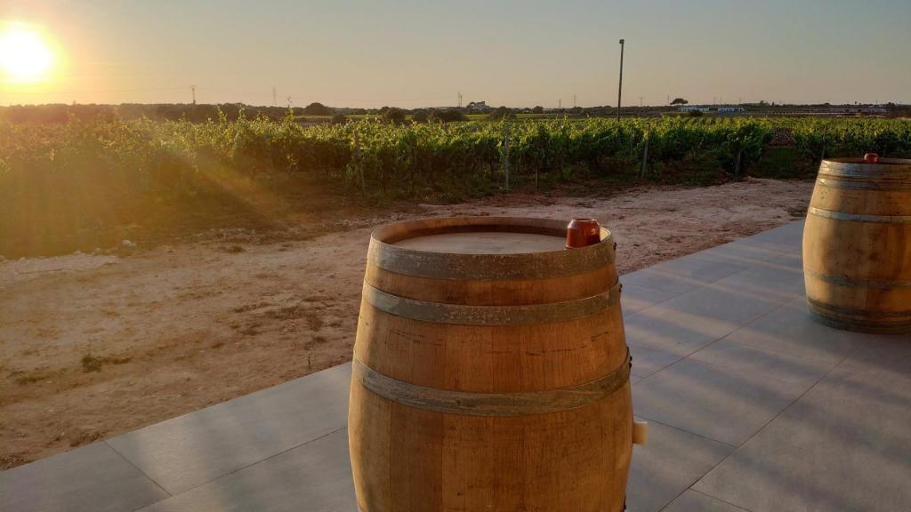 Viñedos de Binitord