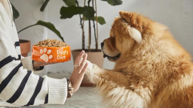 Una mujer ofrece la comida de Dogfy Diet a su mascota.