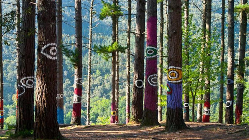 Bosque de Oma.