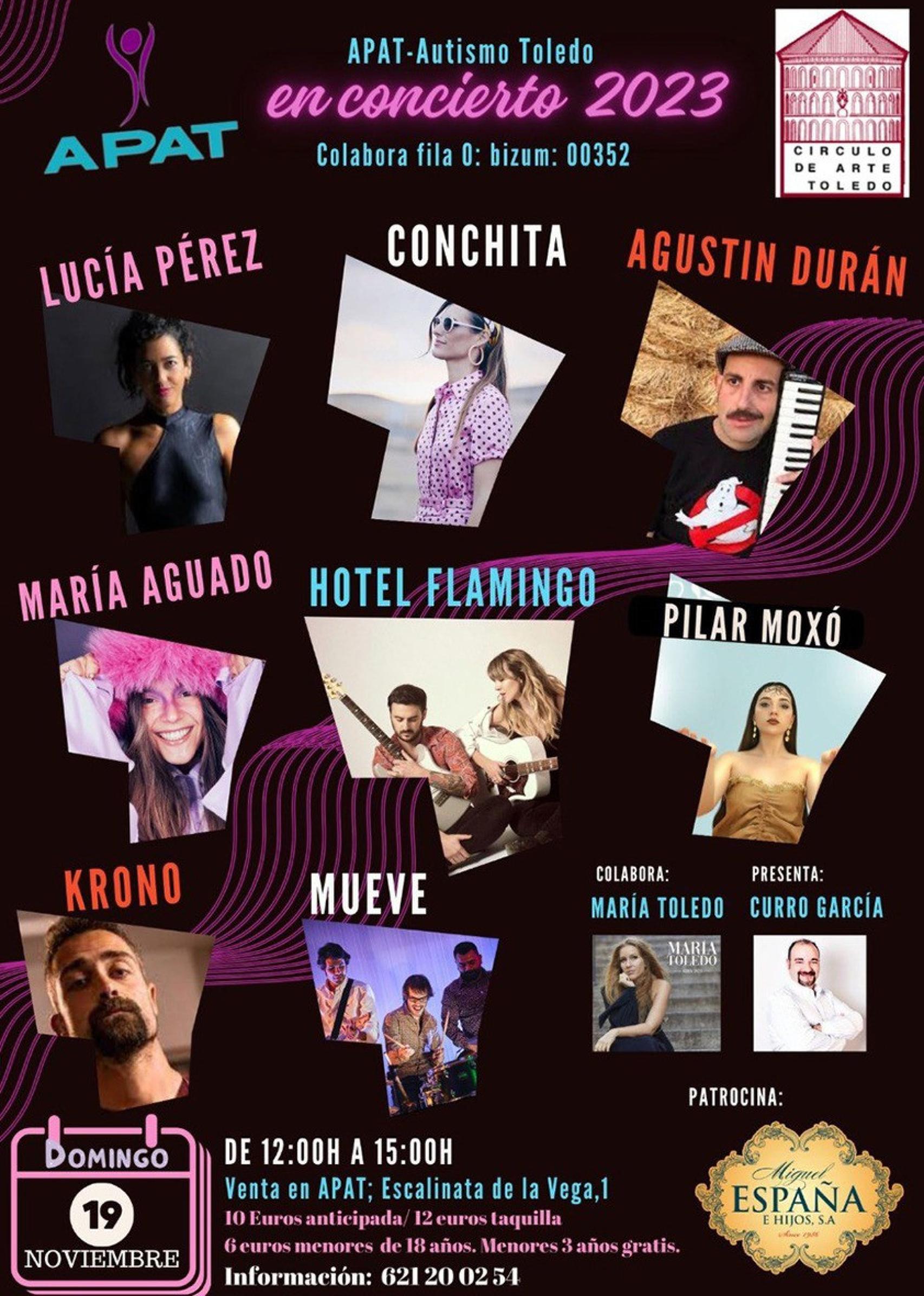 Cartel del concierto solidario de APAT en Toledo.