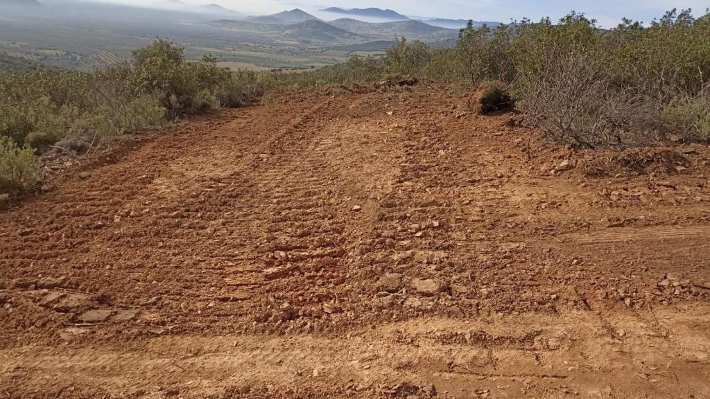 Otra imagen de la zona afectada