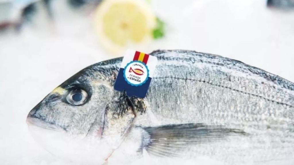 Pescado español.