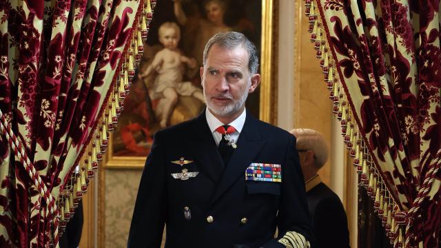 El rey Felipe VI. Foto: Marta Fernández / Europa Press.