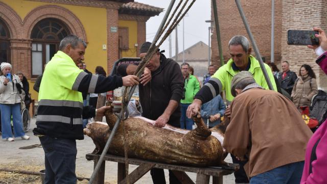 Valdestillas celebra su tradicional fiesta de la matanza
