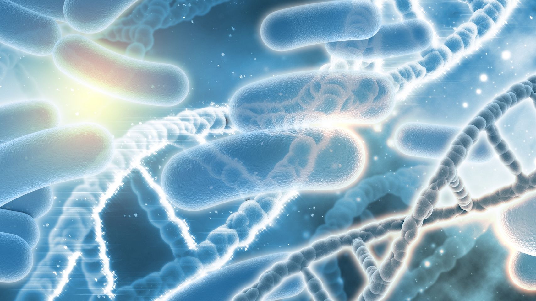 Bacterías