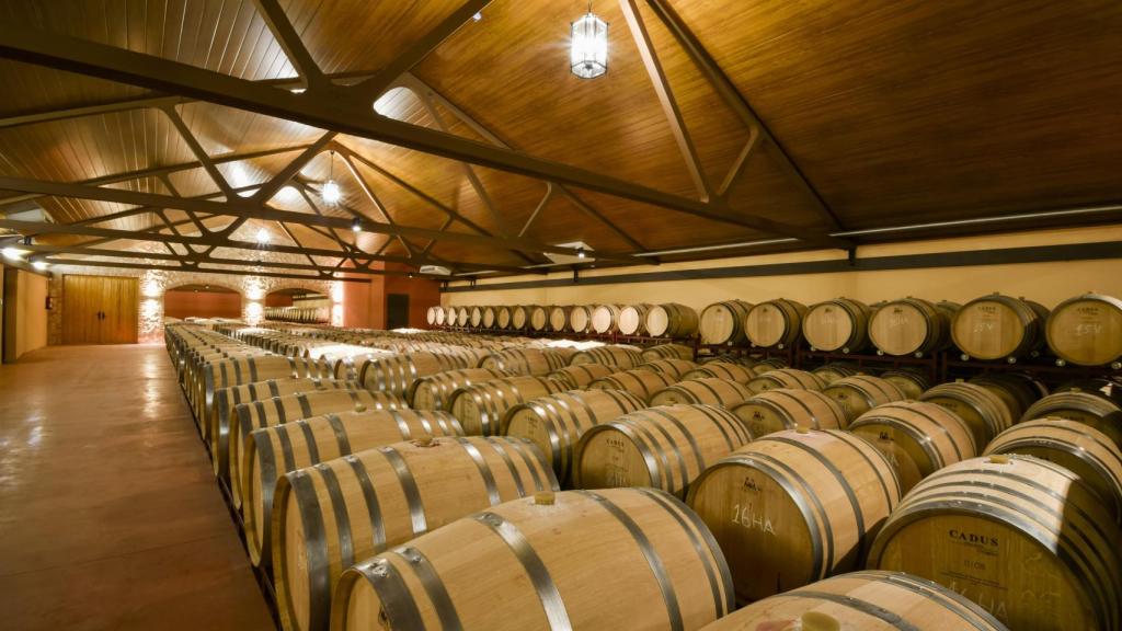 López Cristóbal y el poderío del viñedo de calidad