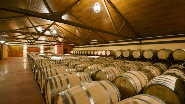 López Cristóbal y el poderío del viñedo de calidad