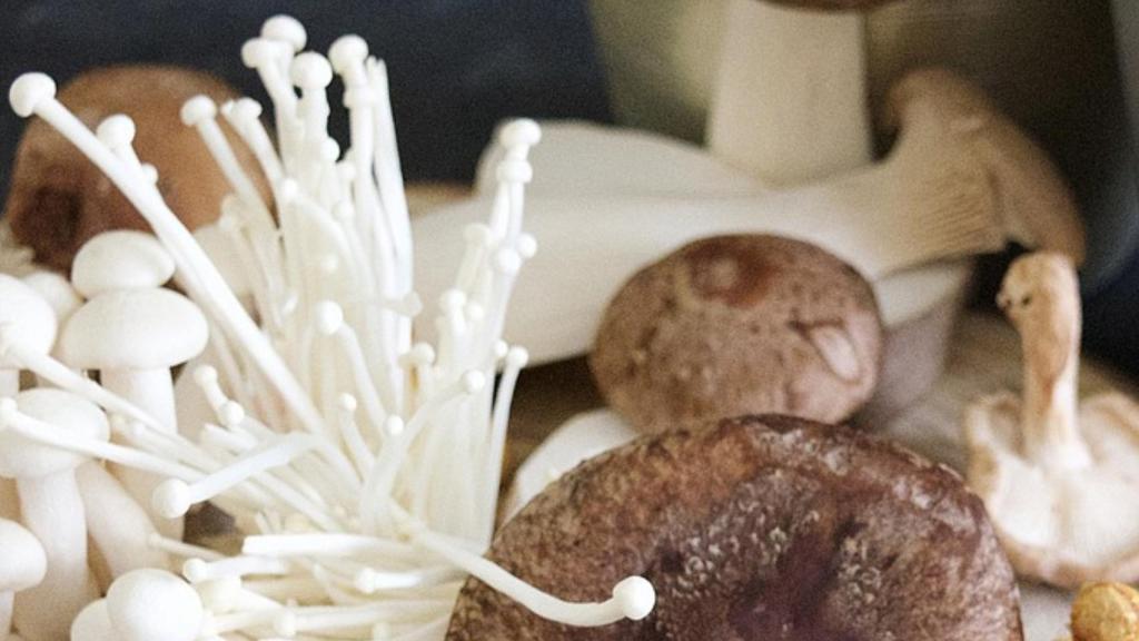 Los tallos largos y blancos de la seta enoki la hacen bastante diferente a otros tipos de setas.