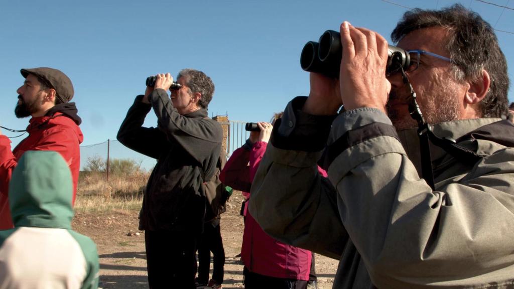 El avistamiento de fauna, una actividad en auge