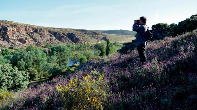 Observación de aves a orillas del río Duero