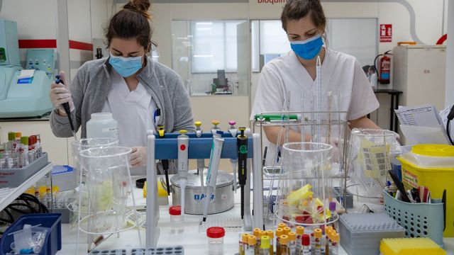 Profesionales de Ribera Lab trabajando en el laboratorio.