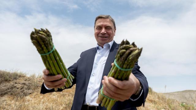 El ministro de Agricultura, Luis Planas.