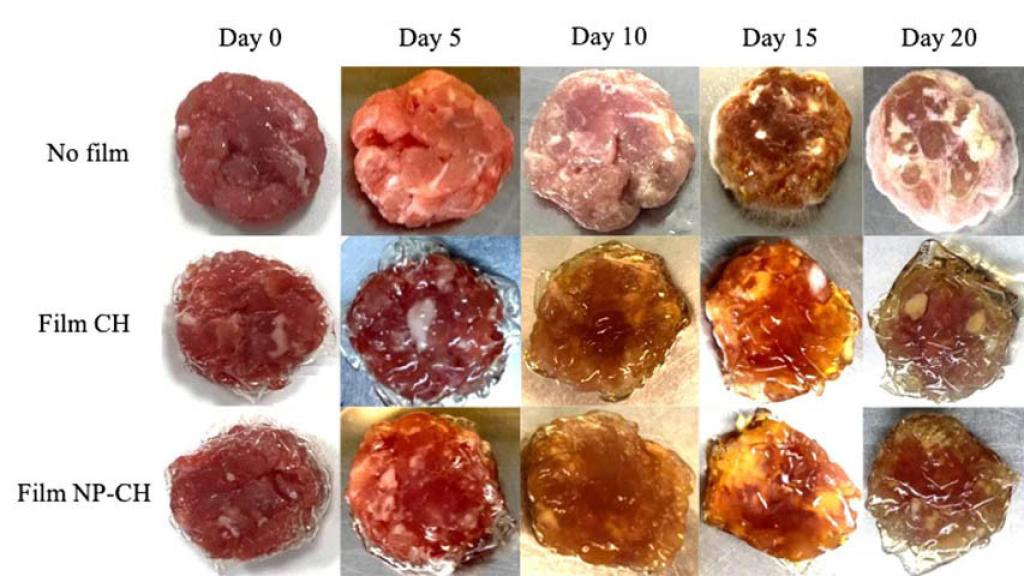 Progresión de la carne sin protección, con el film tradicional y con el investigado.