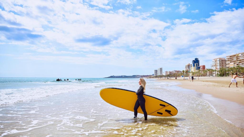 La ciudad de Alicante cuenta con todas sus playas con banderas azules de la UE.