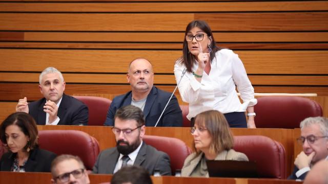 Ana Sánchez durante su intervención en las Cortes