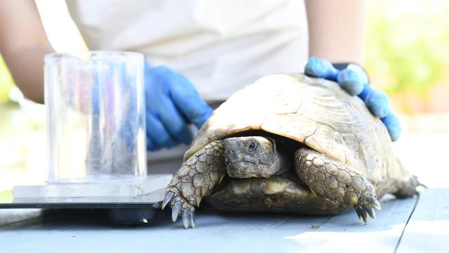 Un compromiso real con el medio ambiente y la sostenibilidad