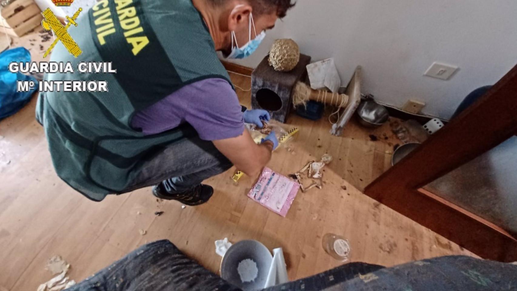 Imagen de restos hallados en la vivienda.